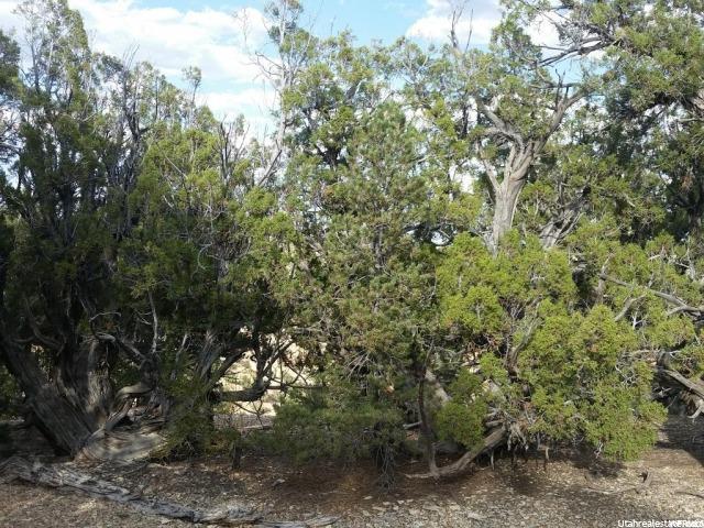 Fruitland, UT 84027