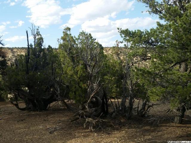 Fruitland, UT 84027