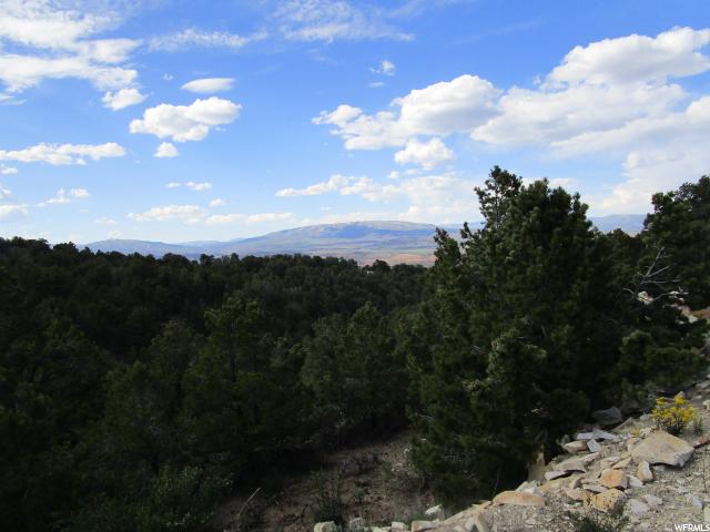 44210 W, Fruitland, UT 84027