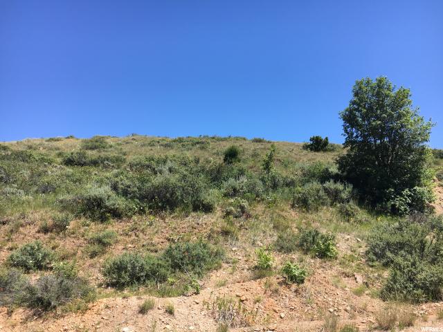 Garden City, UT 84028