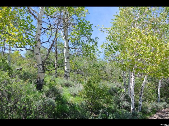 2655 S PANORAMA DR, Garden City, UT 84028