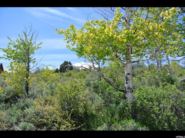 2655 S PANORAMA DR, Garden City, UT 84028