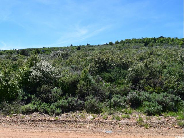 2447 SERVICEBERRY DR, Garden City, UT 84028