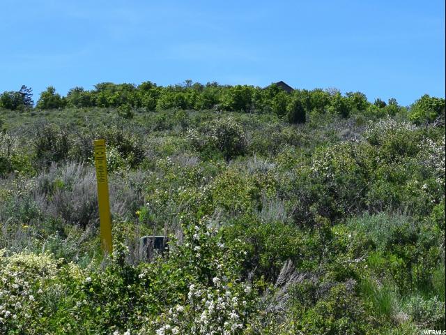 2447 SERVICEBERRY DR, Garden City, UT 84028