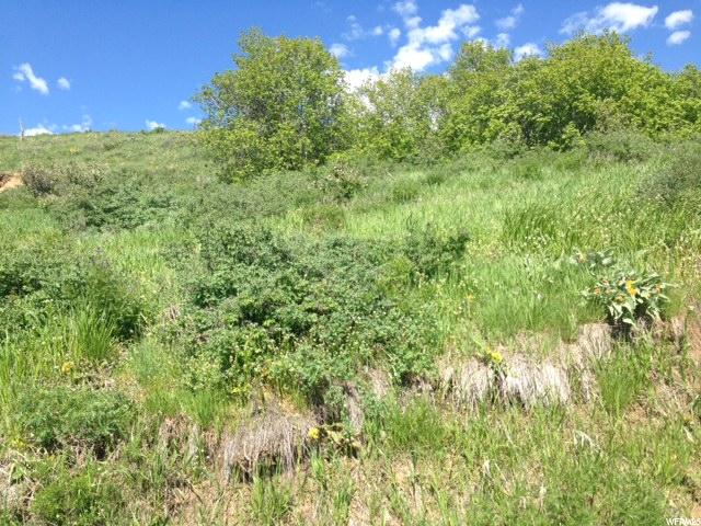 783 CAMBRY DR, Garden City, UT 84028