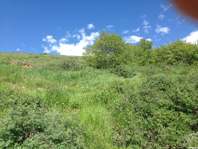 795 CAMBRY DR, Garden City, UT 84028