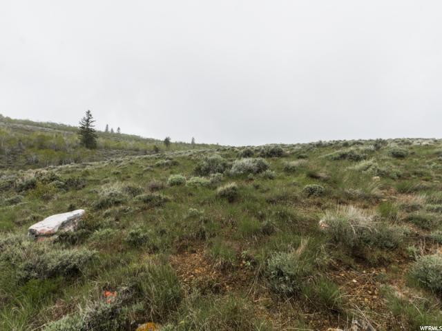 3363 S Lupine Cir, Garden City, UT 84028