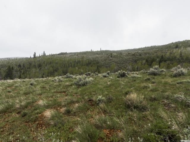 3363 S Lupine Cir, Garden City, UT 84028
