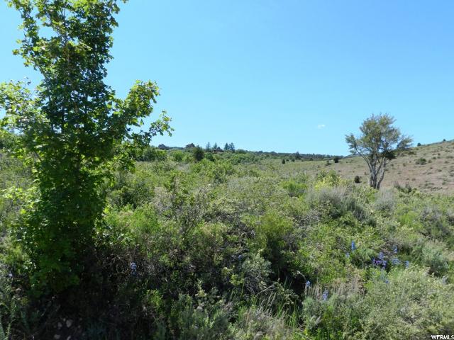 1404 W CANYON CIR, Garden City, UT 84028