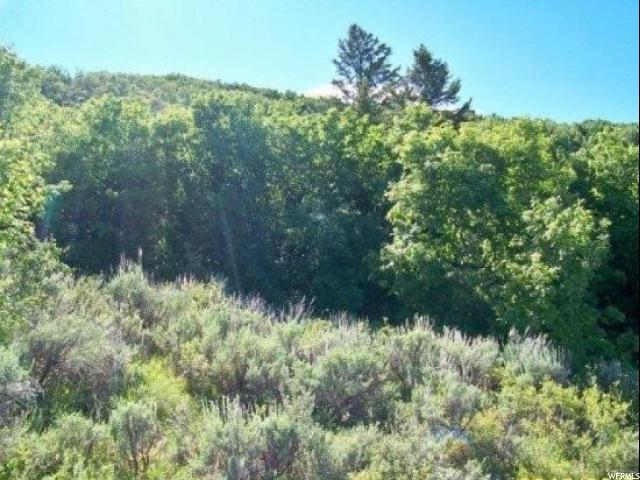 1315 SCULPIN LOOP N, Garden City, UT 84028