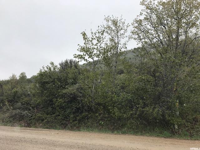 1445 S MAHOGANY DR, Garden City, UT 84028