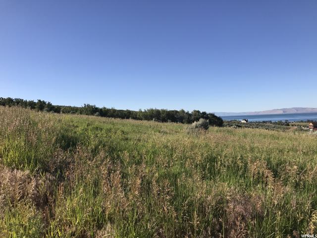 3162 S BUNCHGRASS DR, Garden City, UT 84028
