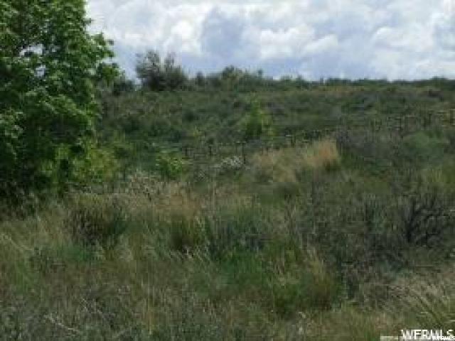 1448 BROADHOLLOW RD, Garden City, UT 84028