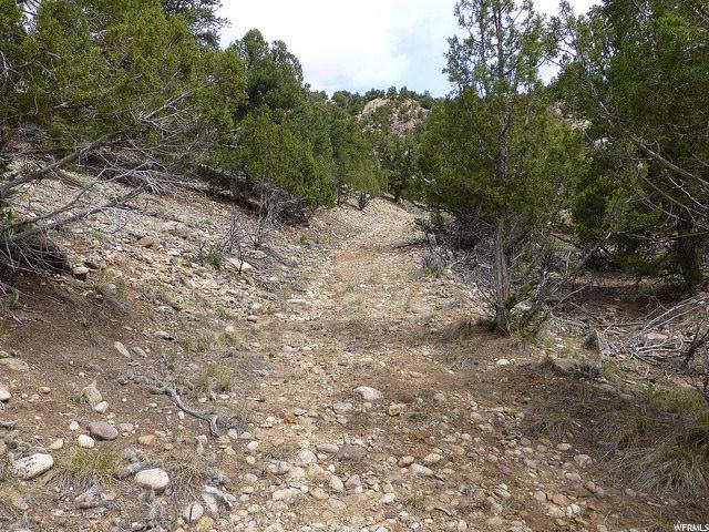 6174 N TABBY LN W, Hanna, UT 84031
