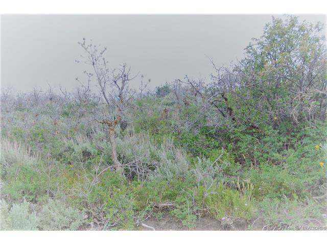 1691 S Westview Dr, Heber City, UT 84032