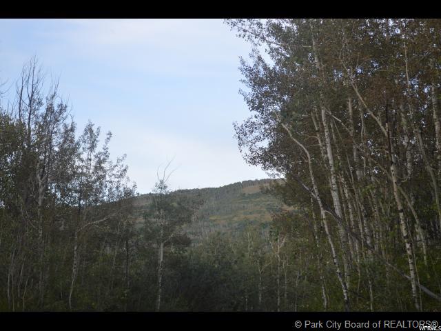 10985 Greenbriar Rd, Heber City, UT 84032