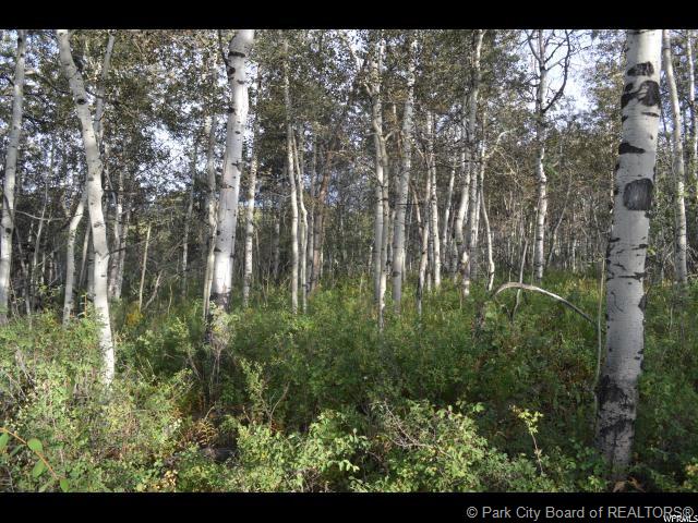 10985 Greenbriar Rd, Heber City, UT 84032