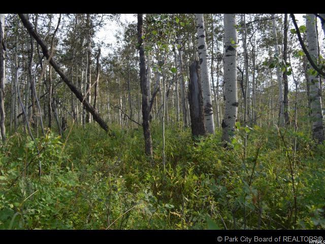 10985 Greenbriar Rd, Heber City, UT 84032