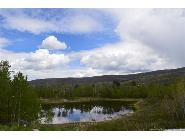 10699 E Tanglewood Dr, Heber City, UT 84032