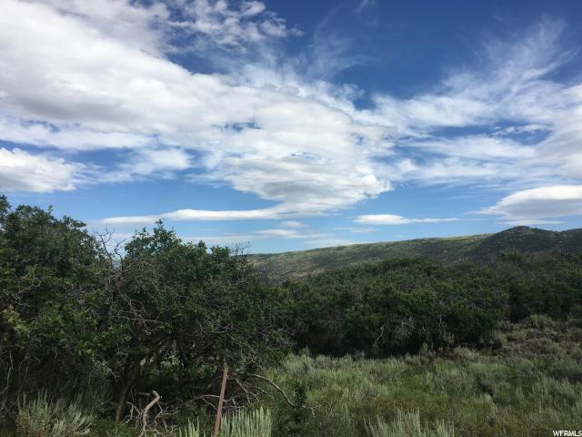 9349 E Lake Pines Dr, Heber City, UT 84032