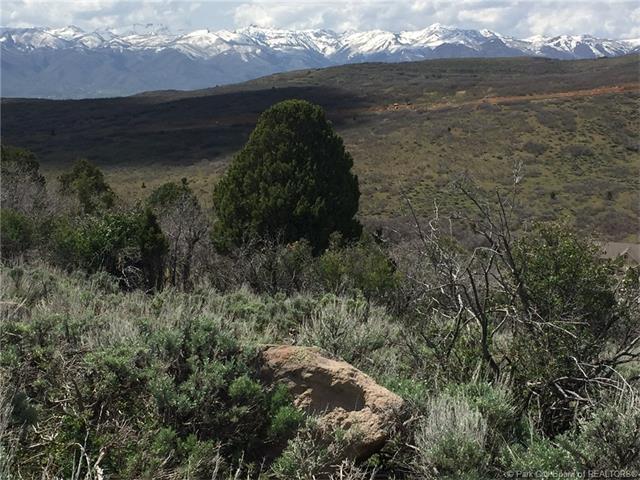 365 Pole, Heber City, UT 84032