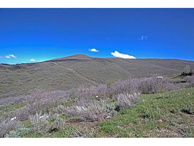 13233 N Slalom Run Dr, Heber City, UT 84032