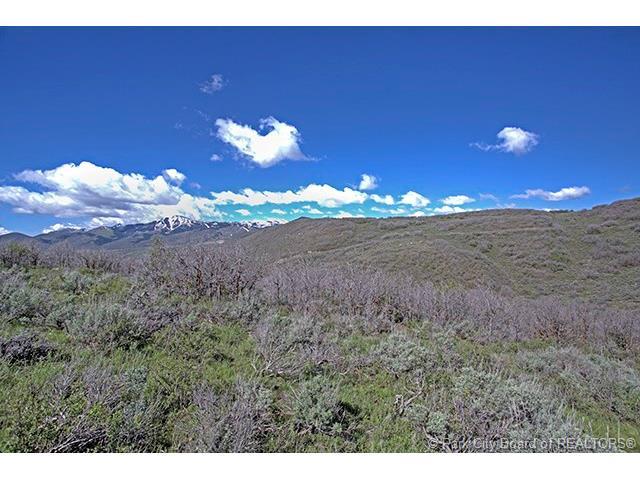 13233 N Slalom Run Dr, Heber City, UT 84032