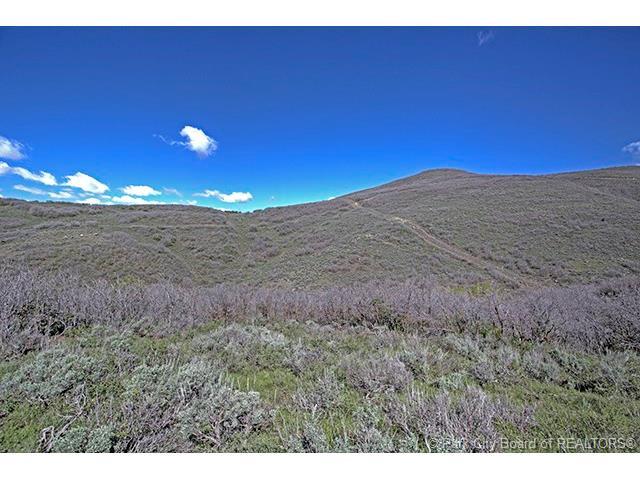13233 N Slalom Run Dr, Heber City, UT 84032