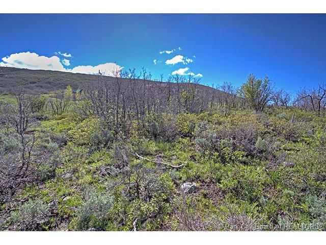 13233 N Slalom Run Dr, Heber City, UT 84032