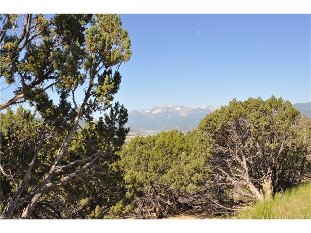 224 N. Ibapah Peak Dr. , Heber City, UT 84032