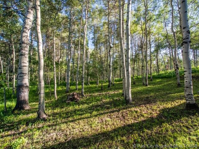 10780 East Green Briar Road Heber City Utah 84032, Heber City, UT 84032