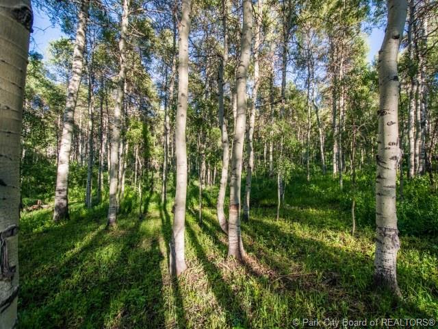 10780 East Green Briar Road Heber City Utah 84032, Heber City, UT 84032
