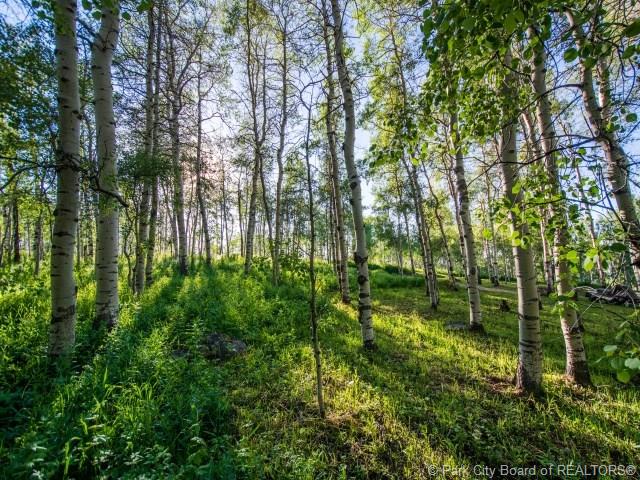 10780 East Green Briar Road Heber City Utah 84032, Heber City, UT 84032