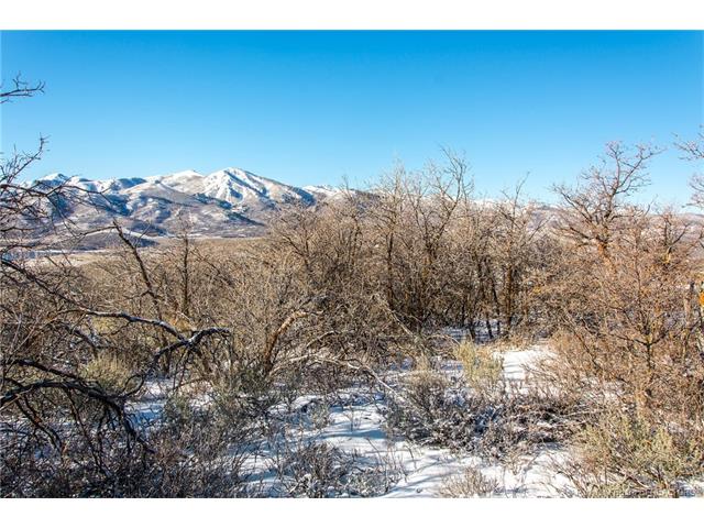 1420 E Lasso Trail Lot# 51, Heber City, UT 84032