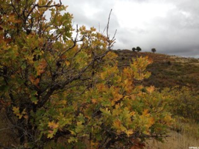 2431 UPPER RIDGE RDG N, Kamas, UT 84036