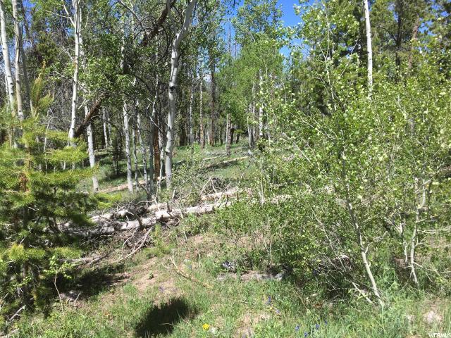 5668 PINEVIEW LOOP, Kamas, UT 84036