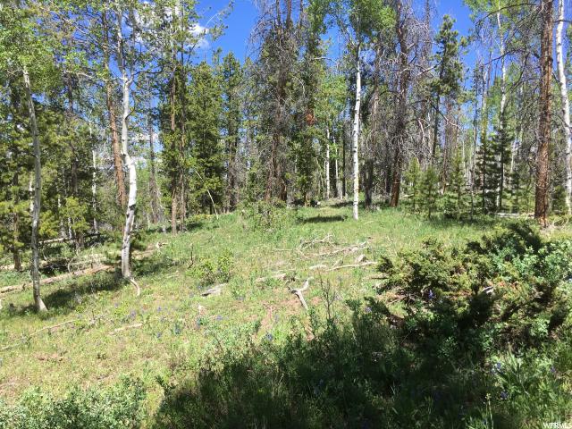 5668 PINEVIEW LOOP, Kamas, UT 84036