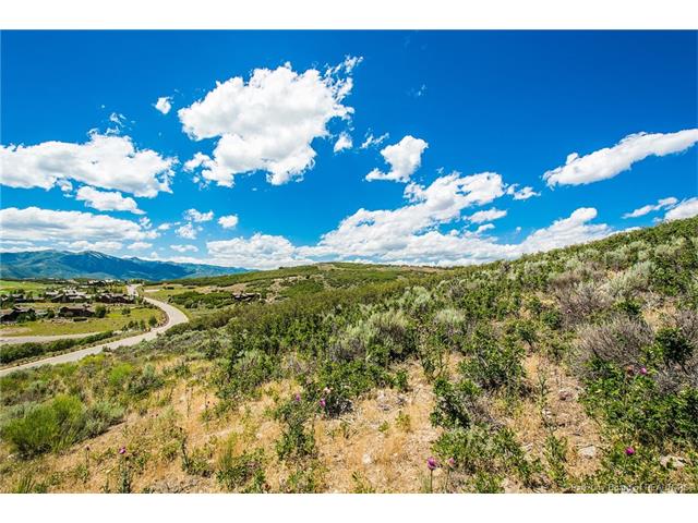 9580 N Tuhaye Park Dr, Kamas, UT 84036