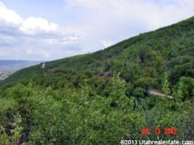 34 SWISS MTN, Midway, UT 84049