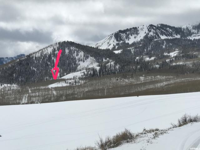 5021 N LARKSPUR RD, Midway, UT 84049