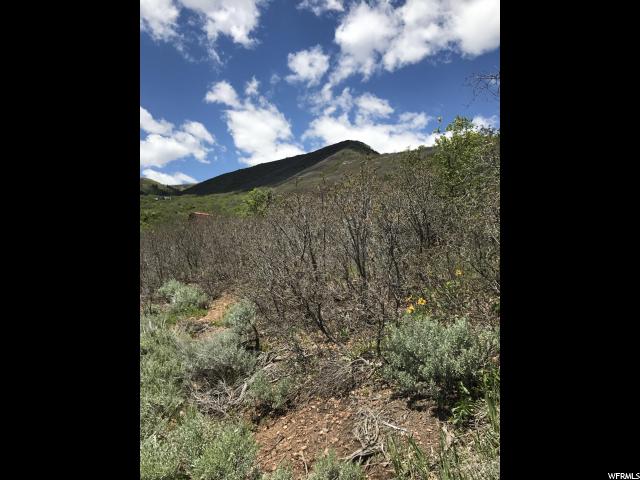 1259 N HILLSIDE DR, Midway, UT 84049