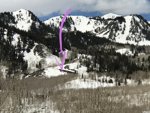 2499 W SPRUCE, Midway, UT 84049
