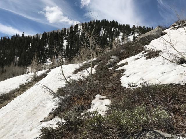 2499 W SPRUCE, Midway, UT 84049