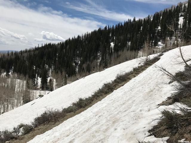 2499 W SPRUCE, Midway, UT 84049