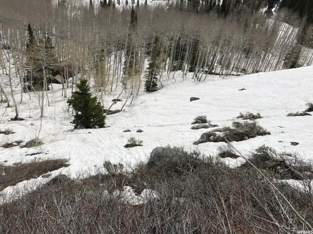 2499 W SPRUCE, Midway, UT 84049