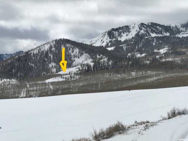 5011 N LARKSPUR RD, Midway, UT 84049
