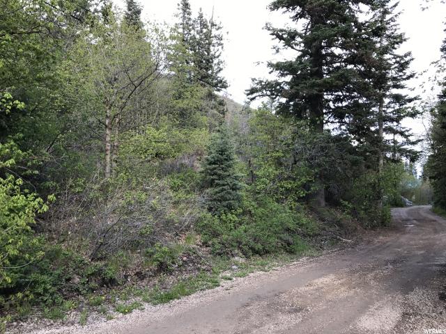 21 SUCCESS TRAIL, Midway, UT 84049