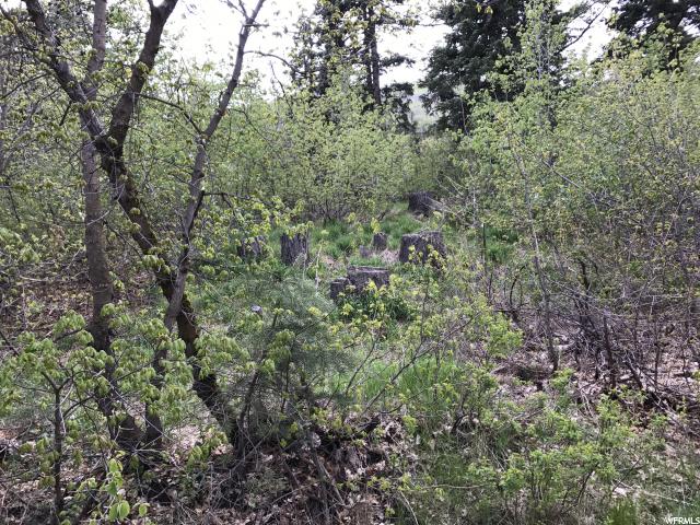 21 SUCCESS TRAIL, Midway, UT 84049