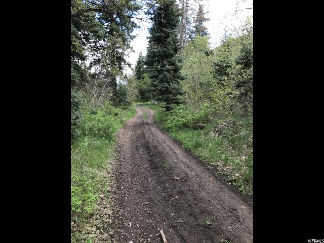 21 SUCCESS TRAIL, Midway, UT 84049