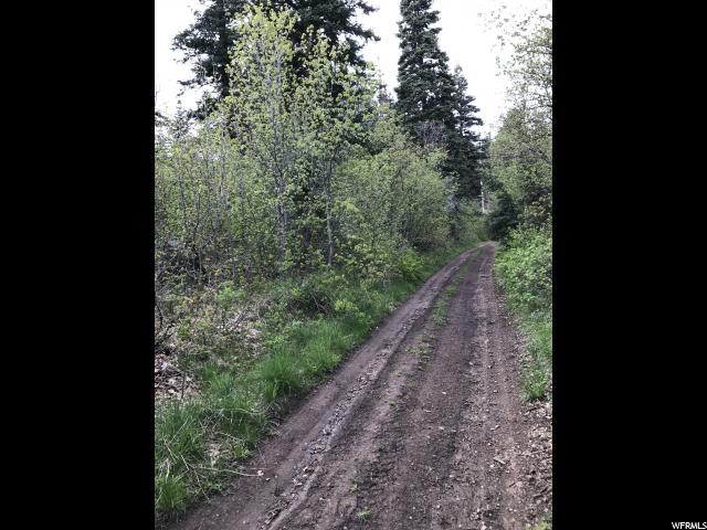 21 SUCCESS TRAIL, Midway, UT 84049